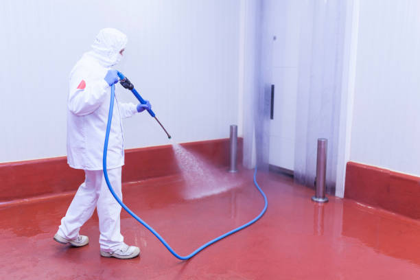 Best Paint Preparation  in Pelham Manor, NY
